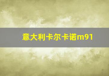 意大利卡尔卡诺m91