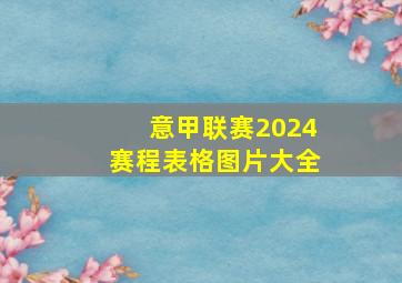 意甲联赛2024赛程表格图片大全