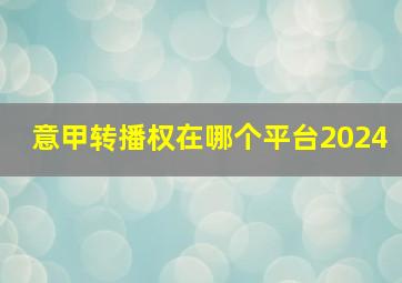 意甲转播权在哪个平台2024