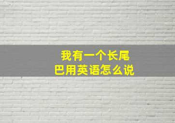 我有一个长尾巴用英语怎么说