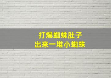 打爆蜘蛛肚子出来一堆小蜘蛛