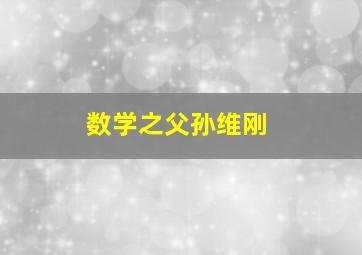 数学之父孙维刚