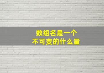 数组名是一个不可变的什么量