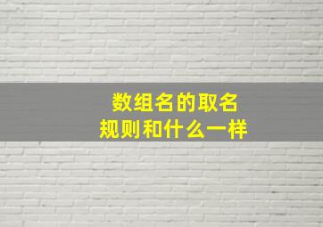 数组名的取名规则和什么一样