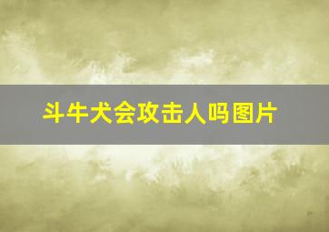 斗牛犬会攻击人吗图片