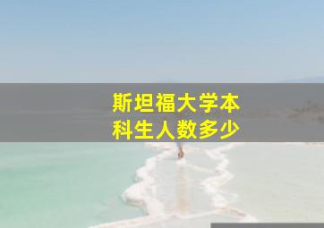 斯坦福大学本科生人数多少