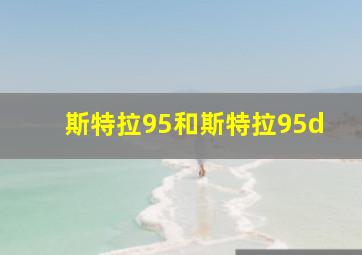 斯特拉95和斯特拉95d