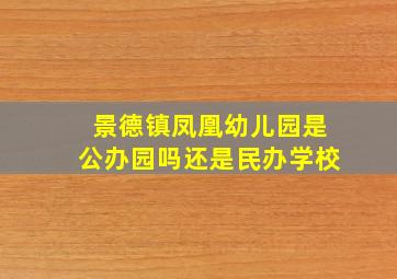 景德镇凤凰幼儿园是公办园吗还是民办学校