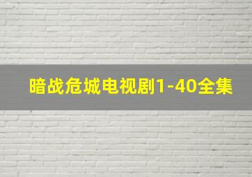 暗战危城电视剧1-40全集