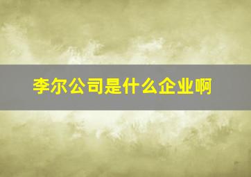 李尔公司是什么企业啊