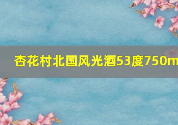 杏花村北国风光酒53度750ml