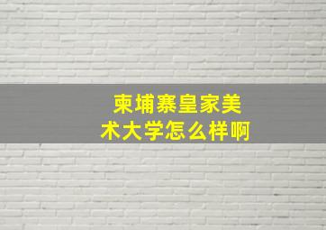 柬埔寨皇家美术大学怎么样啊