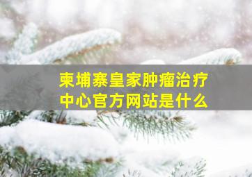 柬埔寨皇家肿瘤治疗中心官方网站是什么