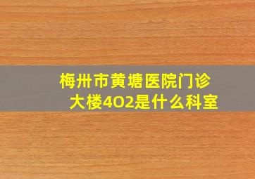 梅卅市黄塘医院门诊大楼4O2是什么科室