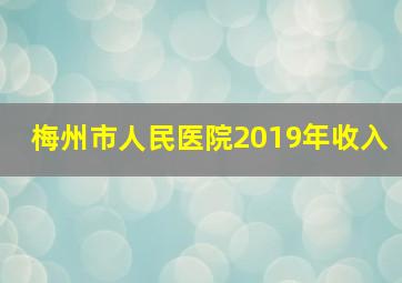 梅州市人民医院2019年收入