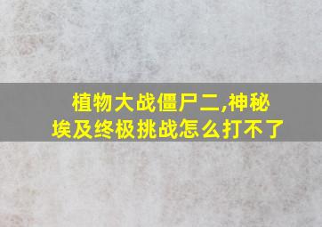 植物大战僵尸二,神秘埃及终极挑战怎么打不了