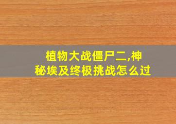 植物大战僵尸二,神秘埃及终极挑战怎么过