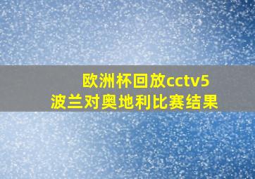 欧洲杯回放cctv5波兰对奥地利比赛结果