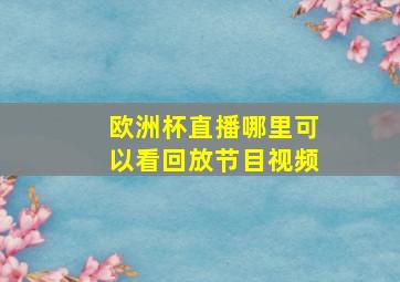 欧洲杯直播哪里可以看回放节目视频