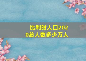 比利时人口2020总人数多少万人