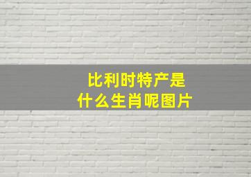 比利时特产是什么生肖呢图片