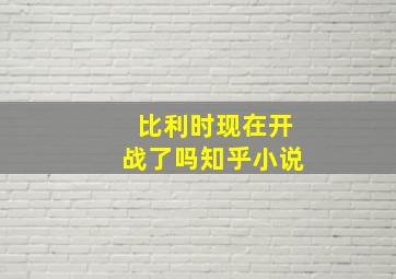 比利时现在开战了吗知乎小说