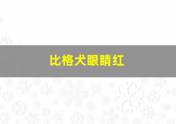 比格犬眼睛红