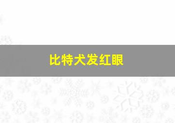 比特犬发红眼