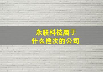 永联科技属于什么档次的公司