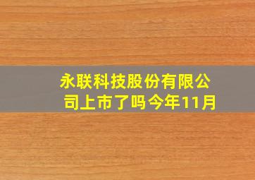 永联科技股份有限公司上市了吗今年11月