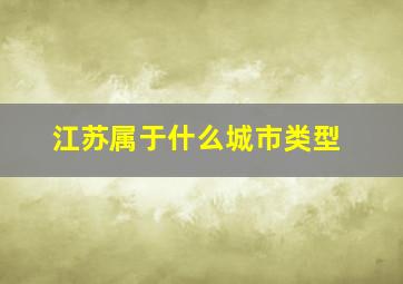 江苏属于什么城市类型