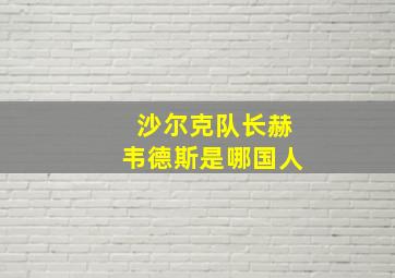 沙尔克队长赫韦德斯是哪国人