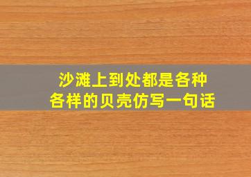 沙滩上到处都是各种各样的贝壳仿写一句话