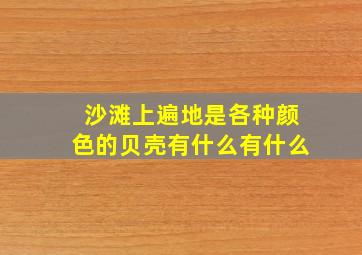 沙滩上遍地是各种颜色的贝壳有什么有什么