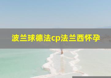 波兰球德法cp法兰西怀孕