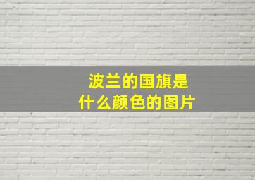 波兰的国旗是什么颜色的图片