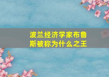 波兰经济学家布鲁斯被称为什么之王