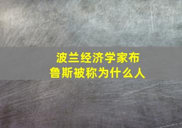 波兰经济学家布鲁斯被称为什么人