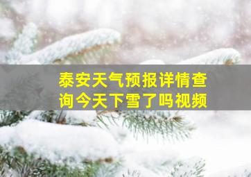 泰安天气预报详情查询今天下雪了吗视频