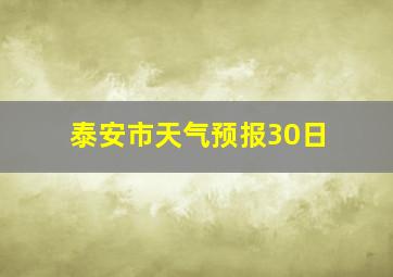 泰安市天气预报30日