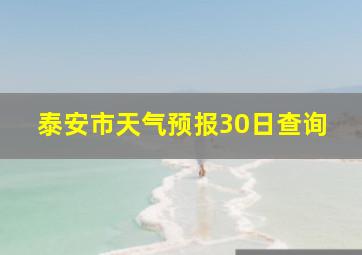 泰安市天气预报30日查询