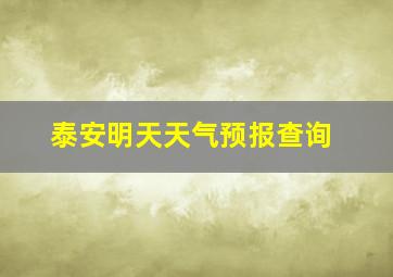 泰安明天天气预报查询