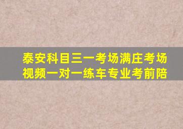 泰安科目三一考场满庄考场视频一对一练车专业考前陪