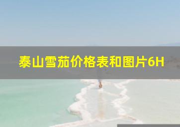 泰山雪茄价格表和图片6H