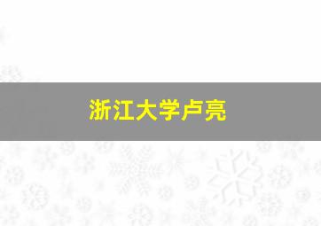 浙江大学卢亮