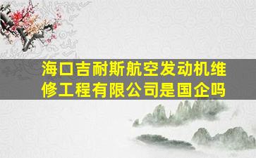 海口吉耐斯航空发动机维修工程有限公司是国企吗