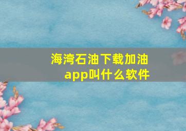 海湾石油下载加油app叫什么软件