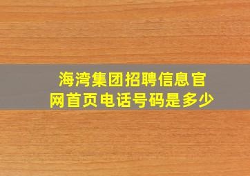 海湾集团招聘信息官网首页电话号码是多少