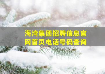 海湾集团招聘信息官网首页电话号码查询