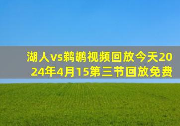 湖人vs鹈鹕视频回放今天2024年4月15第三节回放免费